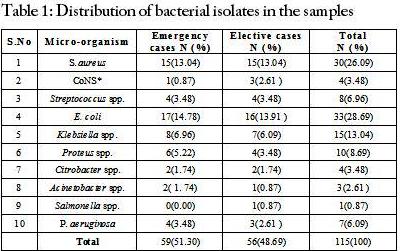 Distribution of bacterial isolates in the samples