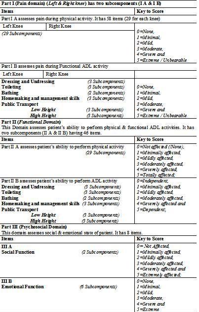 Components of Composite Indian Functional Knee assessment scale